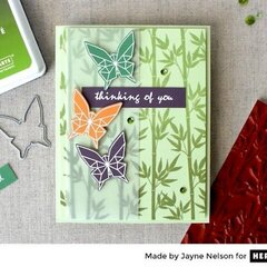 Bamboo Bold Prints and Butterflies