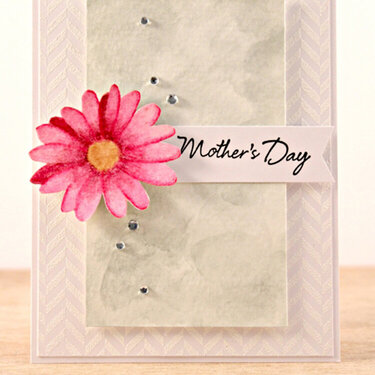 Mother&#039;s Day Flower  By Joy Taylor