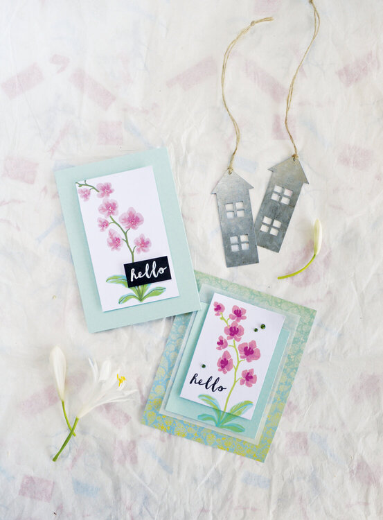 Hello by Hero Arts featuring Color Layering Orchid in a Pot clear stamp and Frame Cuts