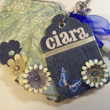 ciara&#039;s blue jean dreams tag book