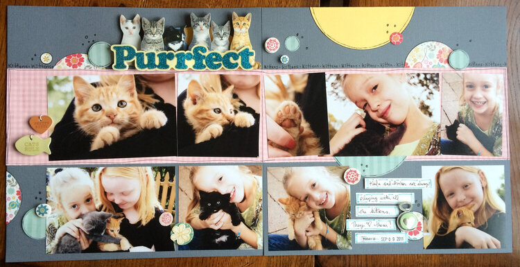 Purrfect Kittens