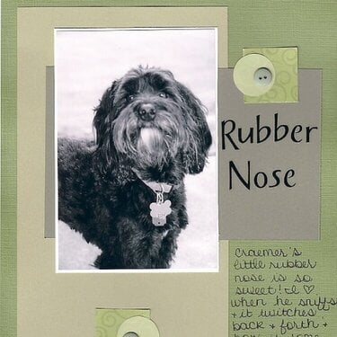 Rubber Nose