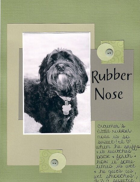 Rubber Nose