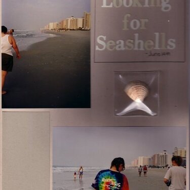 Looking for Seashells