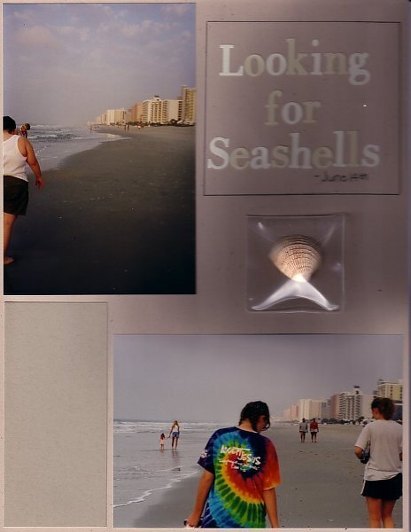 Looking for Seashells