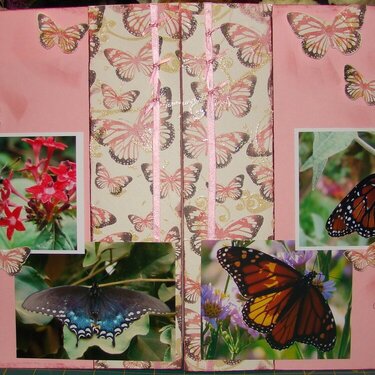 Butterflies #4