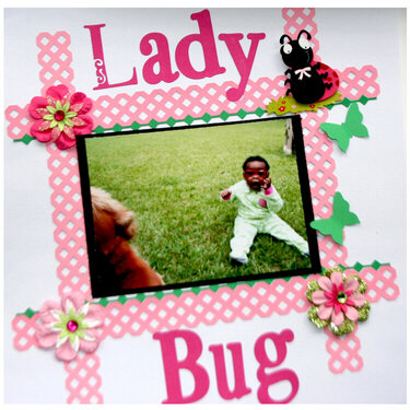 Lady Bug