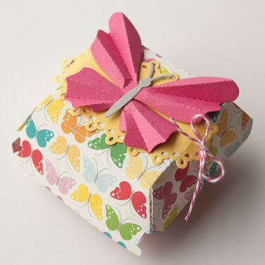 Butterfly Box *Lifestyle Crafts/QuicKutz/Echo Park*