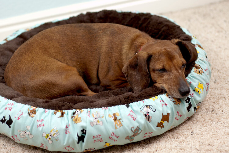 Bella Blvd Fabric Dog Bed