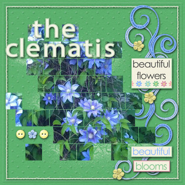 The Clematis