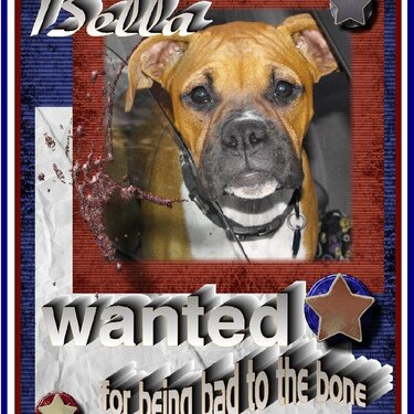 Bella Wanted for Being Bad to the Bone