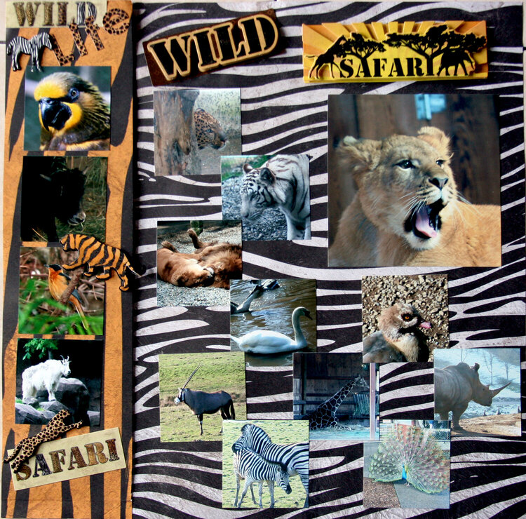 Wild Safari, AWESOME!