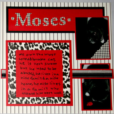 Our Cat Moses - right page
