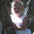 kaleigh in the tree