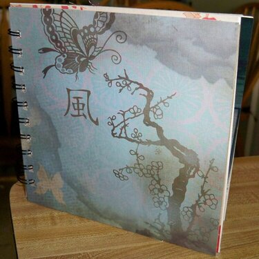 6x6 Asian inspired mini brag book