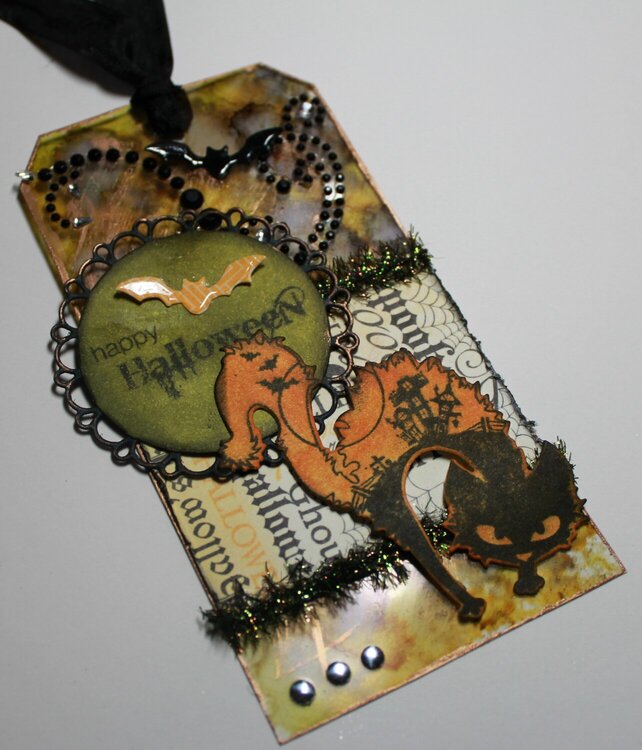 Scary Cat and Bats Acetate Tag