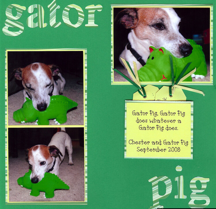 Gator Pig