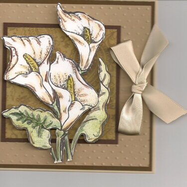 Calla Lily card