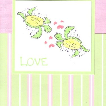 lovey turtles
