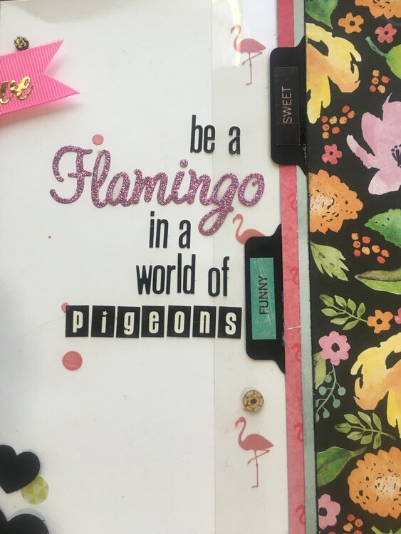 Be a Flamingo in a World of Pigeons