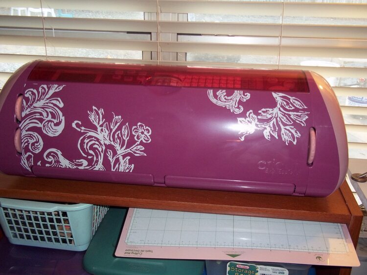 I got a pretty plum cricut machine for my 40th bday from my sweet hubby and my family ox
