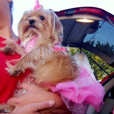 Miranda&#039;s doggie as a ballerina