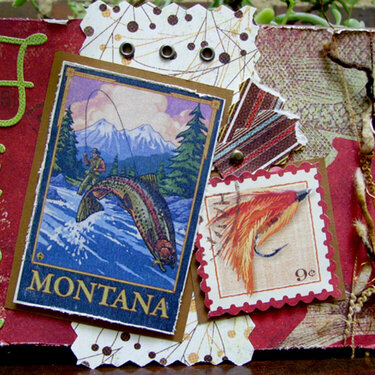 Fish Montana Postcard
