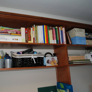 Shelves Above the Counter
