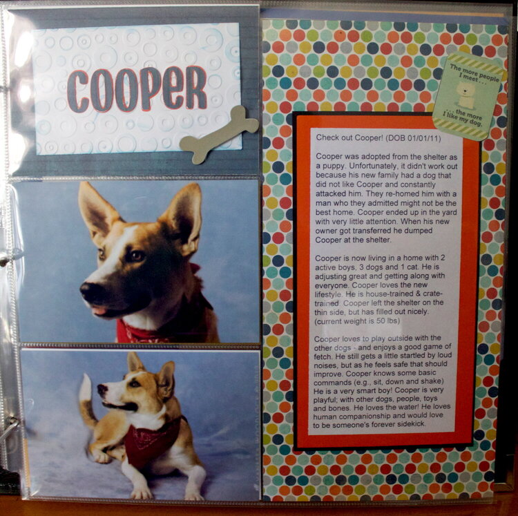 DITR Adoptables -- Cooper