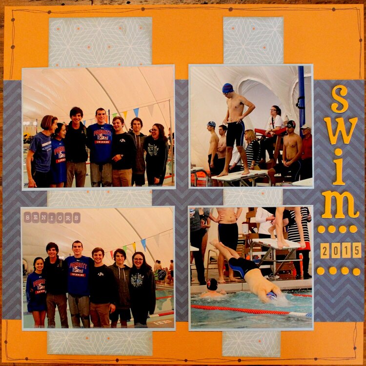 Swim 2015