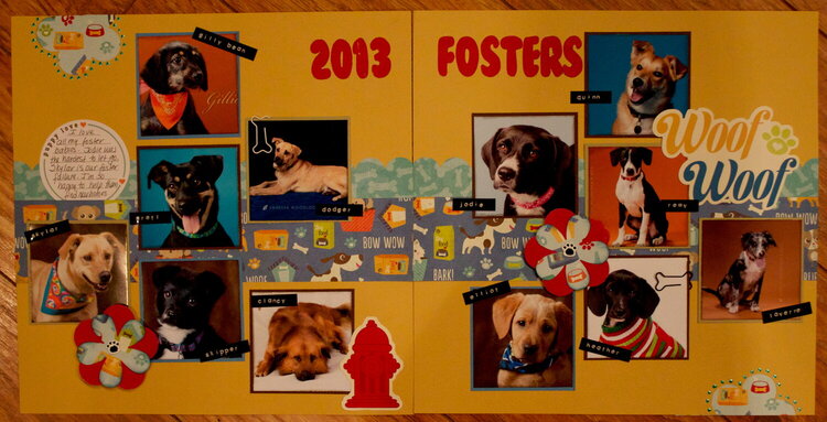 2013 Fosters
