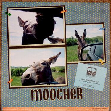 Moocher