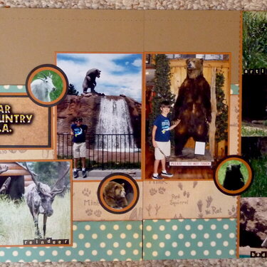 Bear country -- 2 pager