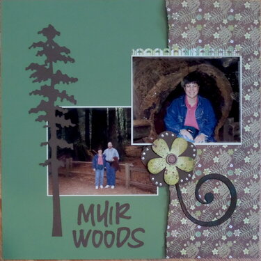 Muir woods