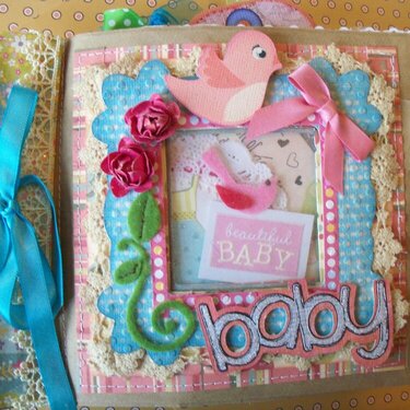 baby girl mini album