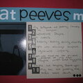 Up close on my pet peeves page