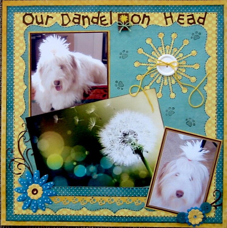 Our Dandelion Head