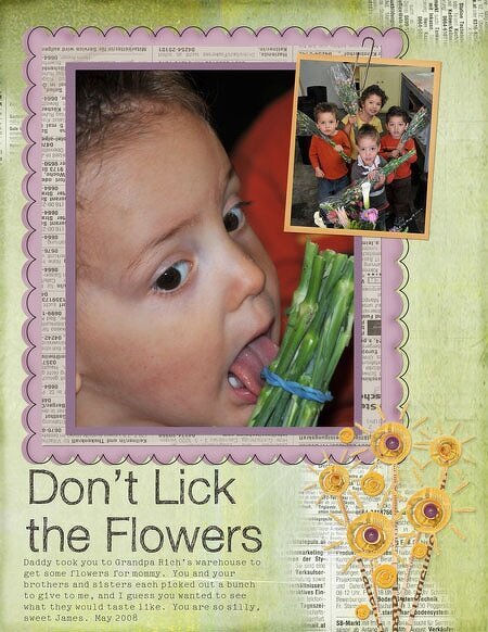 Don&#039;t Lick the Flowers