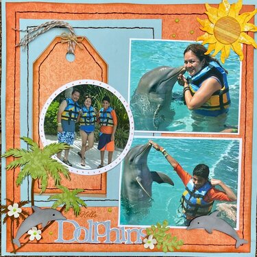 Hello Dolphins