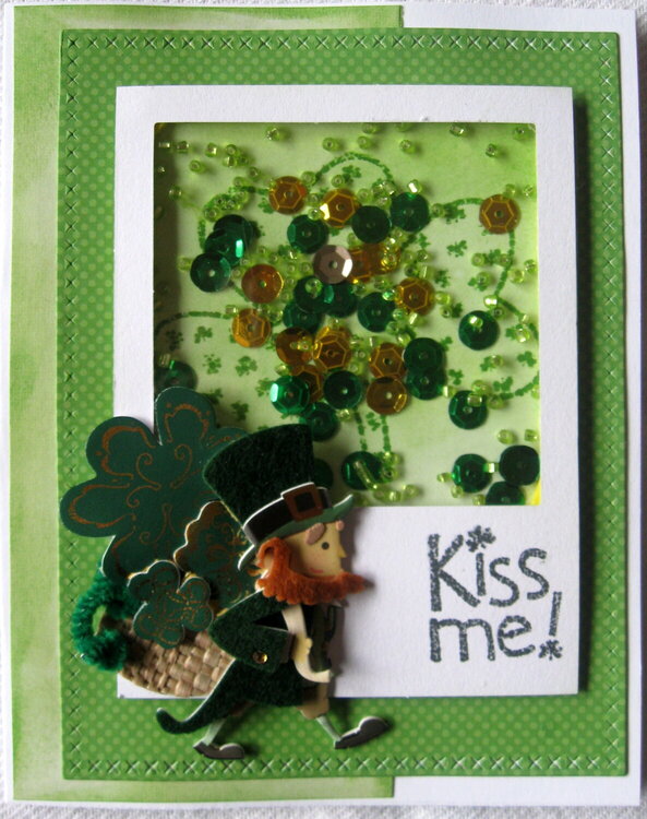 Kiss me! I&#039;m Irish.