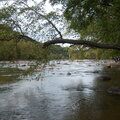 French Broad River