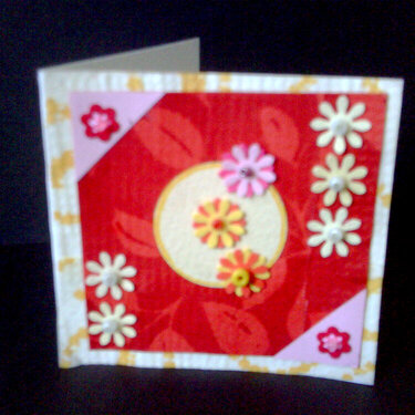 Daisies Cards