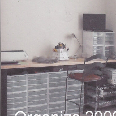 Organize 2009