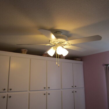 New ceiling fan