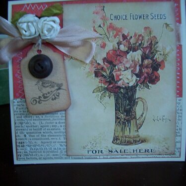 Vintage Seed Packet Card (part of a box set)