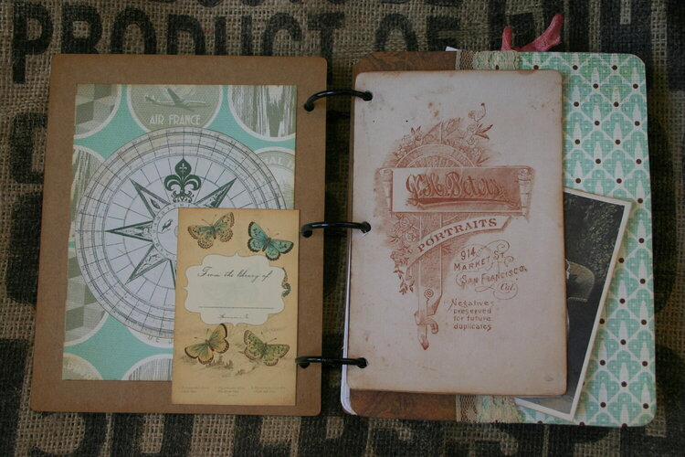 Journal/Altered Book