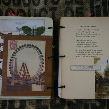 Journal/Altered Book