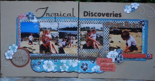 Tropical Discoveries