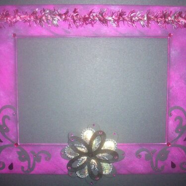 Bold Fuschia Frame