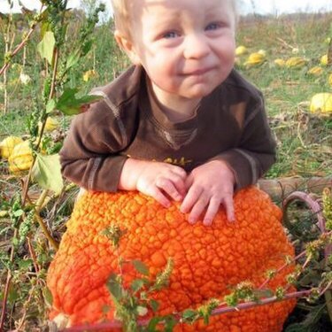 Kenton at the pumpkin patch